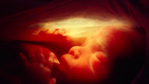 Science Photo Library The range of factors pitched against an egg being fertilised and developing into a foetus make childbirth seem all the more incredible (Credit: Science Photo Library)