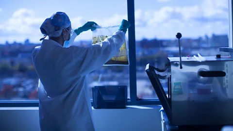 OpenBiome Faecal microbiota transplants are an early form of treatment that exploits the bacteria in patient's guts (Credit: OpenBiome)