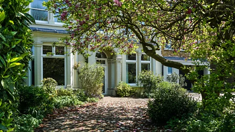 Alamy Garden trees absorb significant amounts of carbon from the atmosphere, but it also helps to have a diversity of plants (Credit: Alamy)