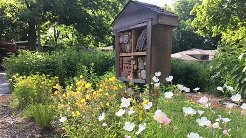 Marc Johnson The bee "hotel" in Johnson's garden aims to encourage local native bees (Credit: Marc Johnson)