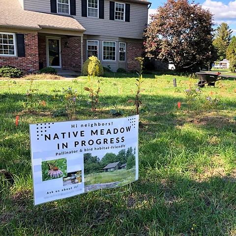 Sara Weaner Cooper In the early stages of meadowscaping her lawn, Weaner Cooper put up a sign in her garden reading "native meadow in progress" (Credit: Sara Weaner Cooper)