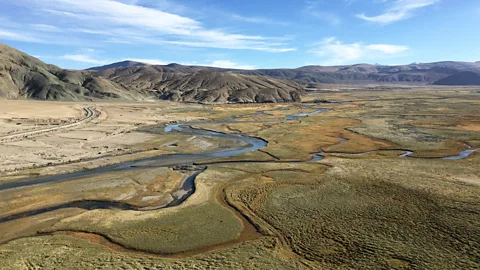 Vandana K At night, this desolate pastureland becomes a stargazer's paradise (Credit: Vandana K)