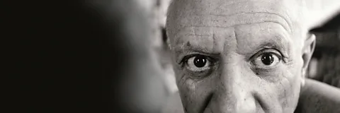 Picasso: The Beauty and the Beast Season 1