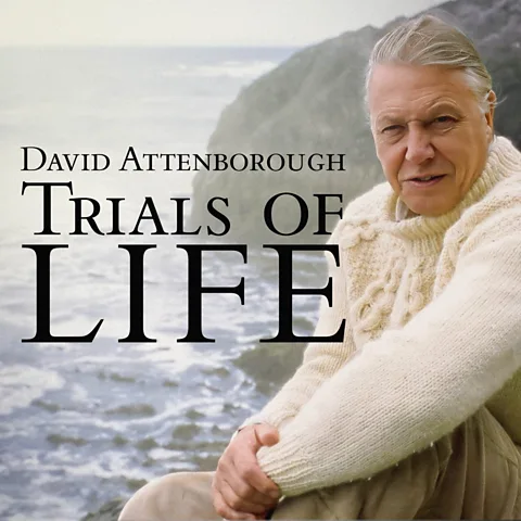 The Trials of Life Season 1