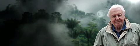 David Attenborough's Natural Curiosities Season 1