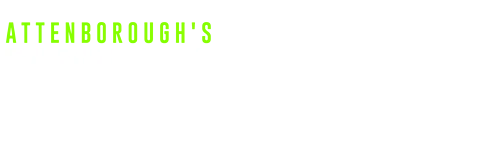 Attenborough's Fabulous Frogs Season 1