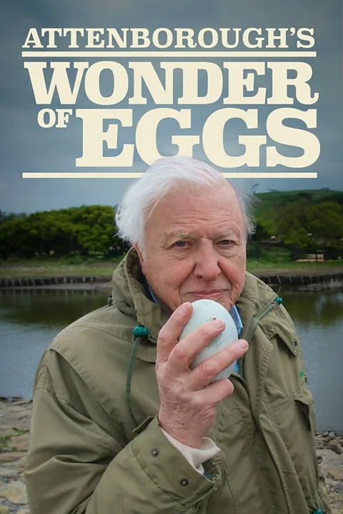 Attenborough's Wonder of Eggs