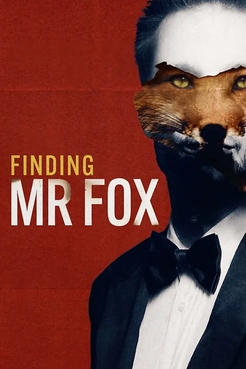Finding Mr Fox