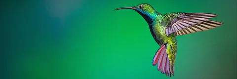 Life in the Air Season 1