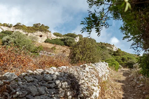 Andrea Cocco (Credit: Andrea Cocco)