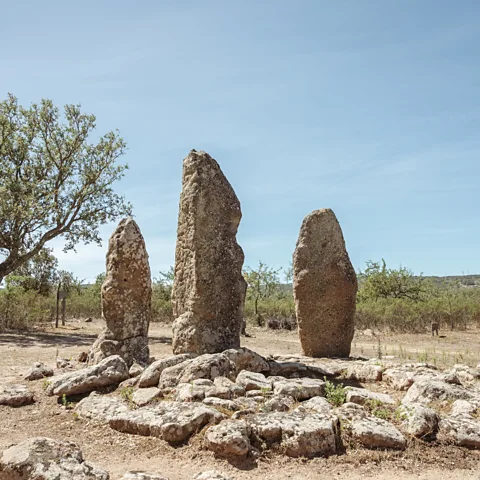 Andrea Cocco (Credit: Andrea Cocco)