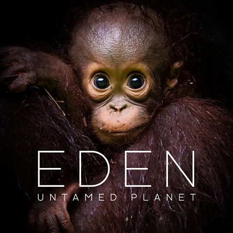 Eden: Untamed Planet Season 1