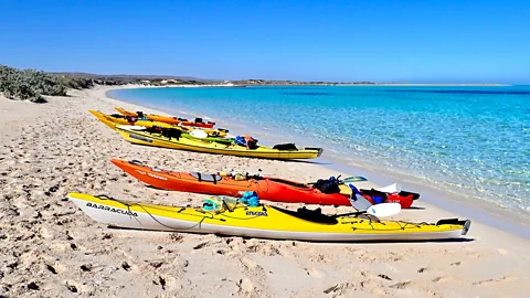 Exmouth Adventure Company A new wave of eco-guided expeditions is allowing visitors to explore Ningaloo Reef in a more sustainable way (Credit: Exmouth Adventure Company)