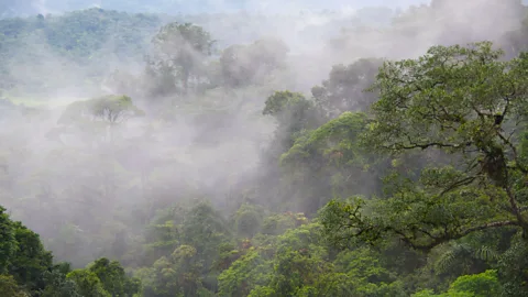 Alamy Nationwide reforestation and eco-tourism efforts are restoring Costa Rica's forest cover (Credit: Alamy)