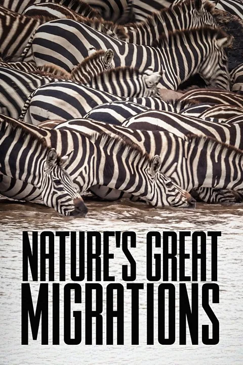 Nature's Great Migrations