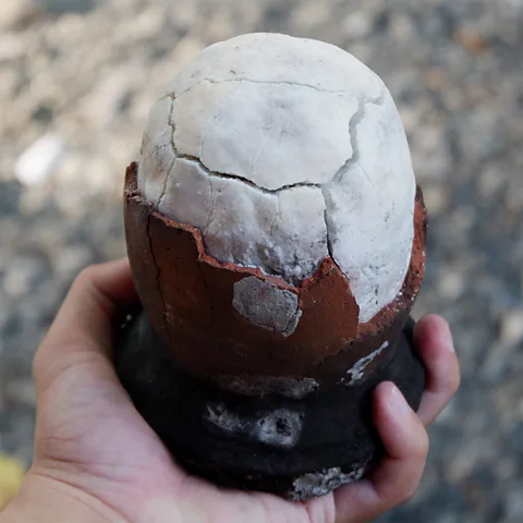 Lokalpedia Dinosaur egg salt has been made on Bohol since at least the 1600s (Credit: Lokalpedia)