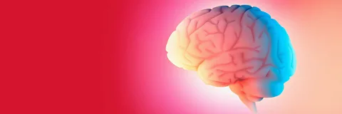How to Boost Your Brain Power