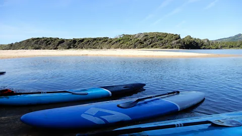 Ren O'Flaherty Stand-up paddle boards resting on a shore, with an inlet in the background (Credit: Ren O'Flaherty)