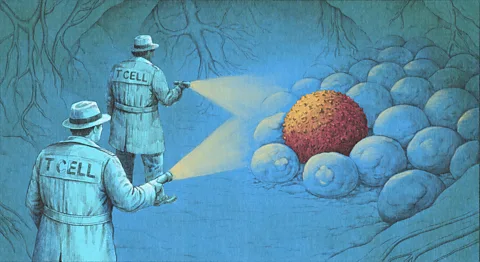 Emmanuel Lafont/ BBC An illustration of T-cells dressed as detectives shining torches onto a cancer cell hiding among other healthy cells (Credit: Emmanuel Lafont)