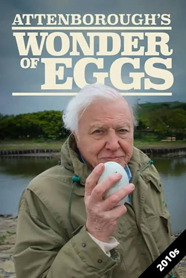 Attenborough's Wonder of Eggs