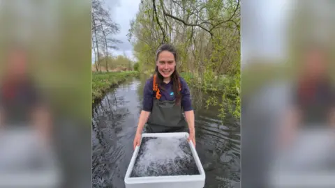 Action for the River Kennet A woman holding a white tray full of wriggly little creatures. She is stood in a river and smiles.