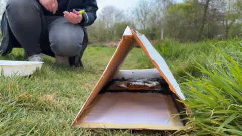 The picture shows a small triangular shelter made from pieces of cardboard set up on grass in an outdoor field. The structure looks like a simple tunnel or trap, with white paper laid flat on the ground inside it and what appears to be a dish or some bait positioned at the back