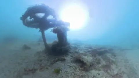 The upright wheel assembly of the wrecked vessel at the bottom of the harbour, covered in sand and marine plants.