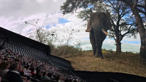 Ben Wood A showing of Postcard from Earth at Las Vegas Sphere. The scene shows an elephant, which towers over the audience.
