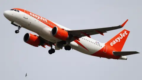 PA Media An EasyJet plane in flight against a grey sky. It has orange and white livery. There is a bird flying below it.