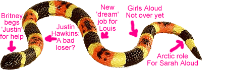 The News Snake
